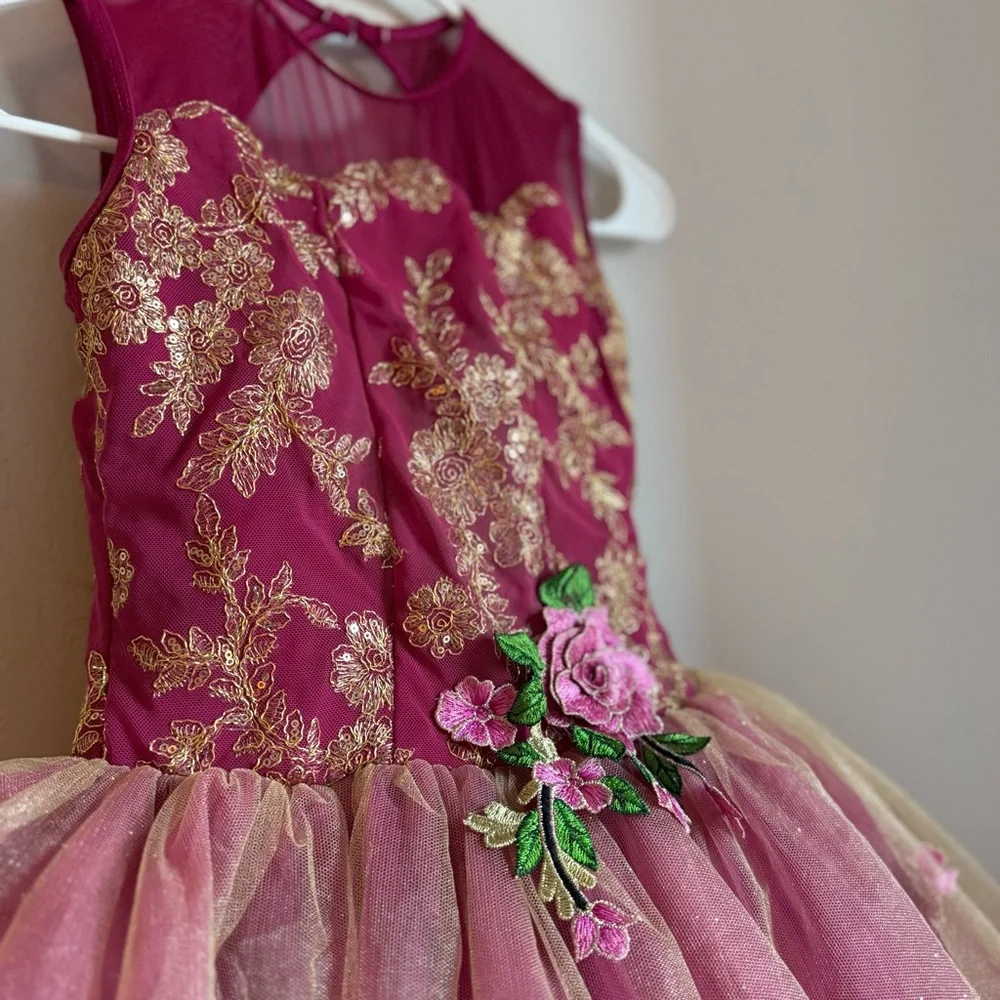 Revolution Dress Dancewear Girls Wine Gold Dance Costume Tulle Child Large LC